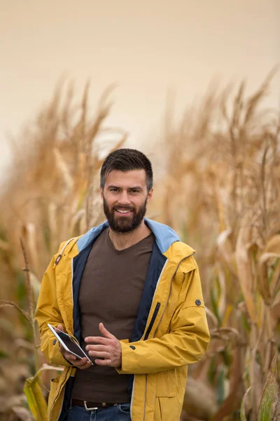 Фермер в кукурудзяному полі — стокове фото