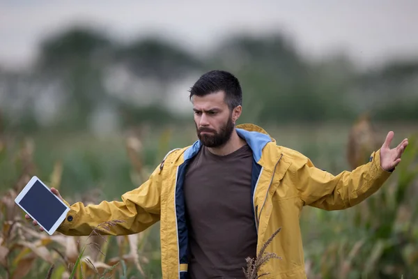 Agricultor infeliz no campo de milho — Fotografia de Stock