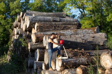 Oduncu chainsaw ve gövdeleri balta ile