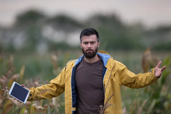 Несчастный фермер на кукурузном поле — стоковое фото