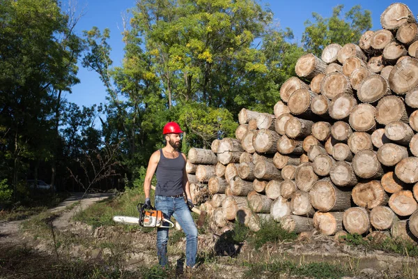 Madera con motosierra y hacha en el bosque —  Fotos de Stock