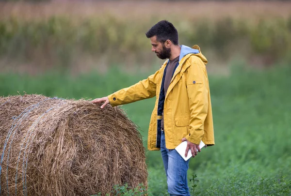 Farmer with rolled bale — Stock Photo, Image