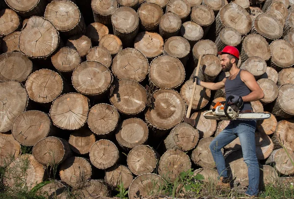 Holzfäller mit Kettensäge und Axt neben Baumstämmen — Stockfoto