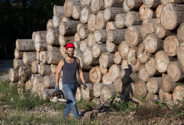 Lumberjack com motosserra e machado ao lado de troncos — Fotografia de Stock