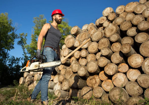 Lumberjack com motosserra e machado ao lado de troncos — Fotografia de Stock