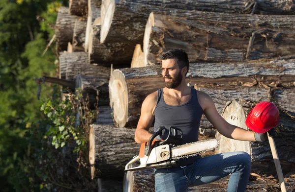 Lumberjack with chainsaw and ax on log stack — Stock Photo, Image