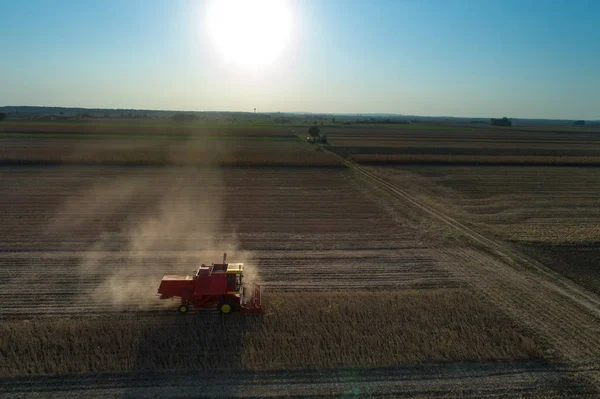 Sojabönor skörd skjuta från drone — Stockfoto