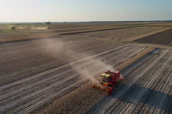 Soya hasat dron--dan ateş — Stok fotoğraf