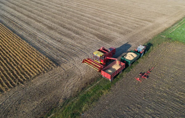 Soja oogst schieten uit drone — Stockfoto