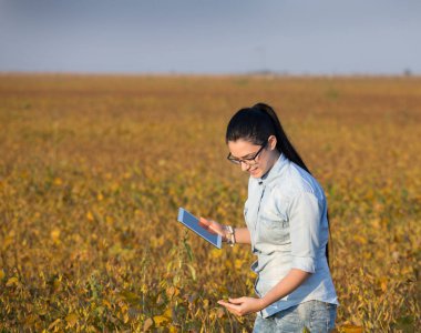 Çiftçi kız soya alanındaki tablet ile