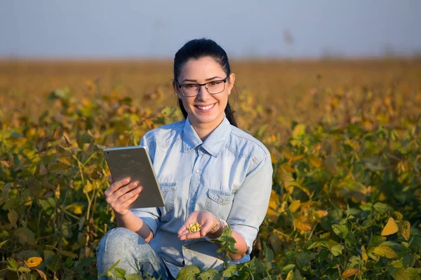 Agrónomo con tableta en campo de soja — Foto de Stock