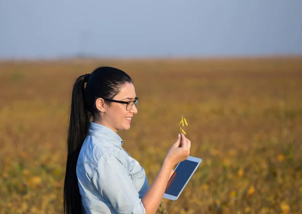 Çiftçi kız tablet ve soya kök ile — Stok fotoğraf