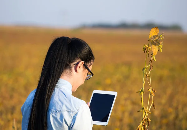 Boer meisje met Tablet PC- en soja stam — Stockfoto