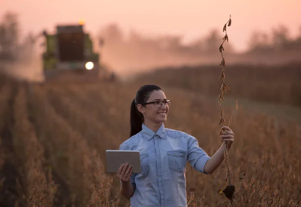 Девушка-фермер с планшетом и стеблем сои — стоковое фото