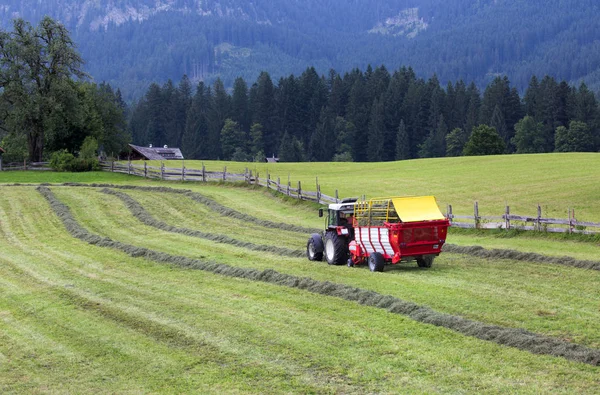 Traktor sammelt Heu auf Wiese — Stockfoto