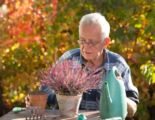 Starý muž zalévání rostlin — Stock fotografie