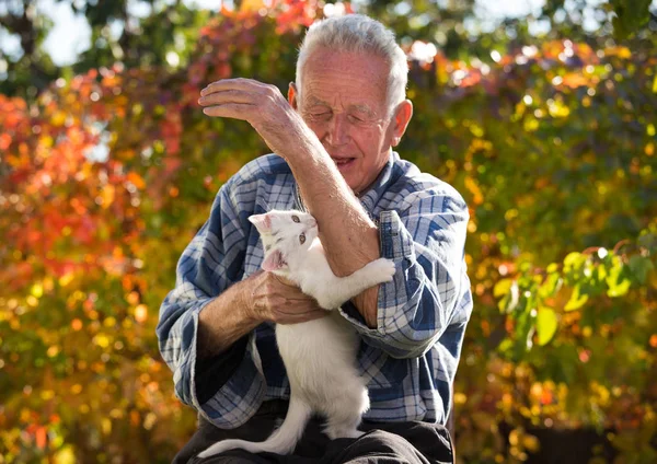 Pequeño gato mordiendo la mano de un hombre mayor — Foto de Stock