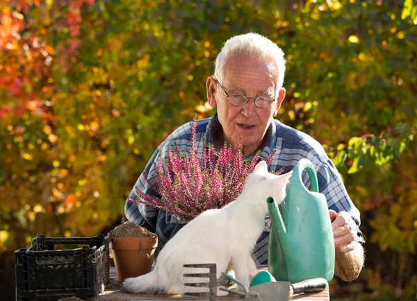 Vieil homme avec chat faisant le travail de jardinage — Photo