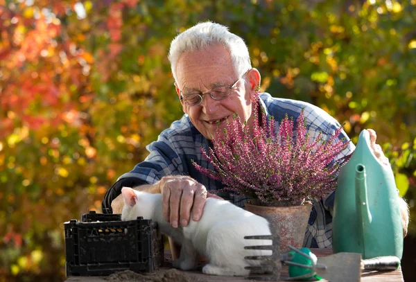 Velho com gato fazendo trabalho de jardinagem — Fotografia de Stock