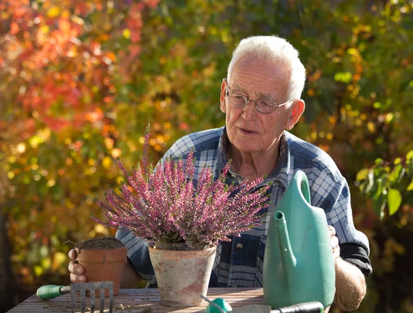 Oude man planten water geven — Stockfoto