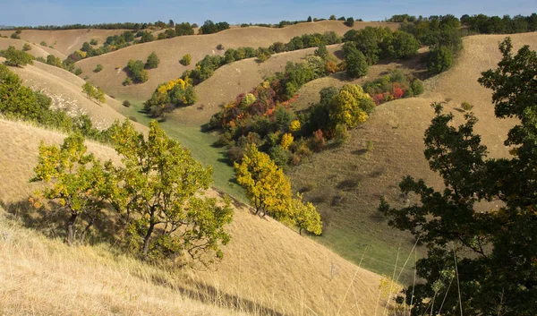 秋のカラフルな丘の概観図ビュー — ストック写真