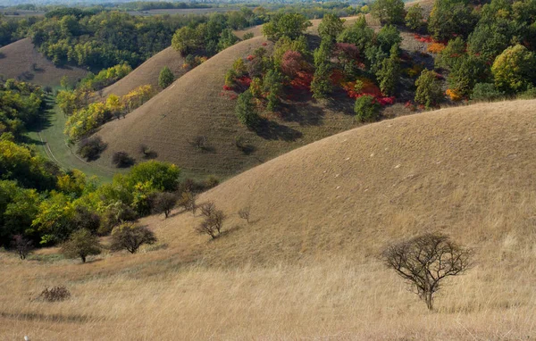 秋のカラフルな丘の概観図ビュー — ストック写真