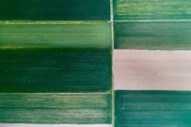 Tarımsal parsel Üstten Görünüm