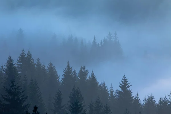 Paesaggio montano nella nebbia — Foto Stock