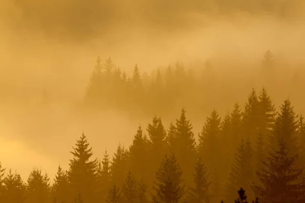 Paesaggio montano nella nebbia — Foto Stock