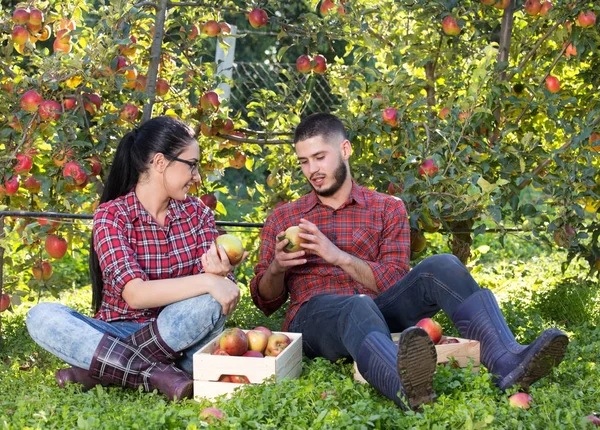 Bauern ruhen sich im Apfelgarten aus — Stockfoto