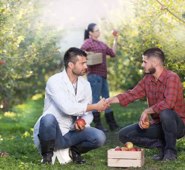 Gente dando la mano en el huerto — Foto de Stock