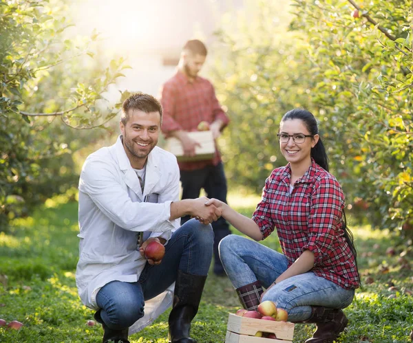 Mensen schudden handen in boomgaard — Stockfoto