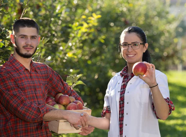 Agricultor y agrónomo estrechando manos en huerto de manzanas — Foto de Stock