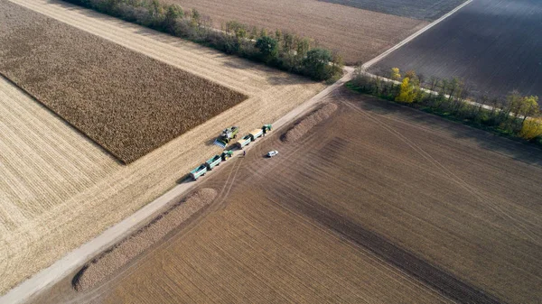 Corn harvest shoot from drone