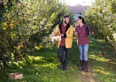 Orchard mutlu çiftçiler
