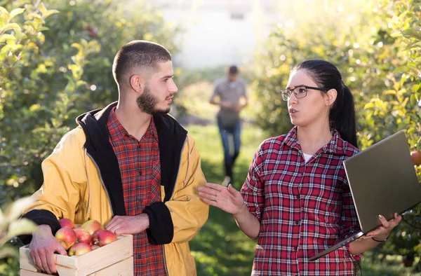 Happy farmers in orchard — Stock Photo, Image