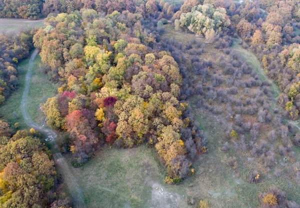 Sonbaharda ormanın havadan görünüşü