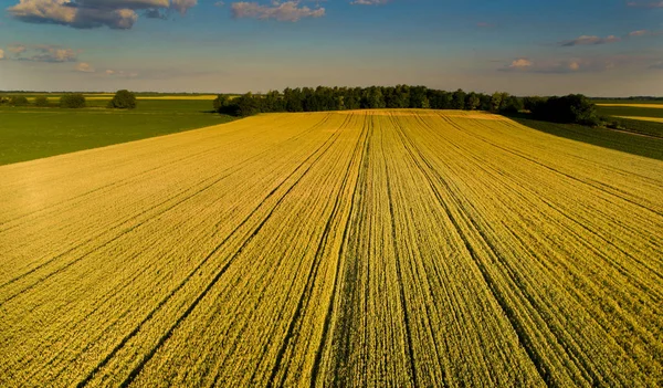 Vista aérea de los campos agrícolas — Foto de Stock