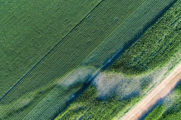 Luchtfoto van agrarische velden met problematische onderdelen — Stockfoto