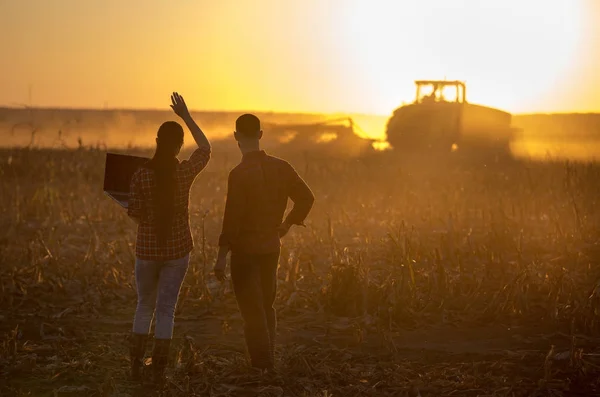 Agricultores com laptop em campo ao pôr do sol — Fotografia de Stock