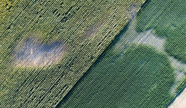 Sorunlu parçaları ile tarım alanlarının havadan görünümü