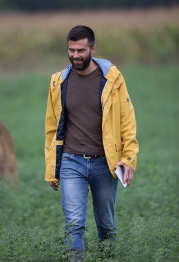 Yonca alanında çiftçi