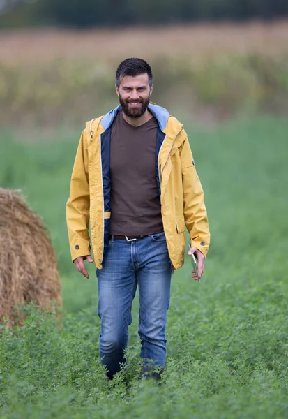 Agricultor en campo de trébol —  Fotos de Stock