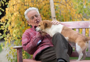 Yaşlı adam ile köpek parkta bankta