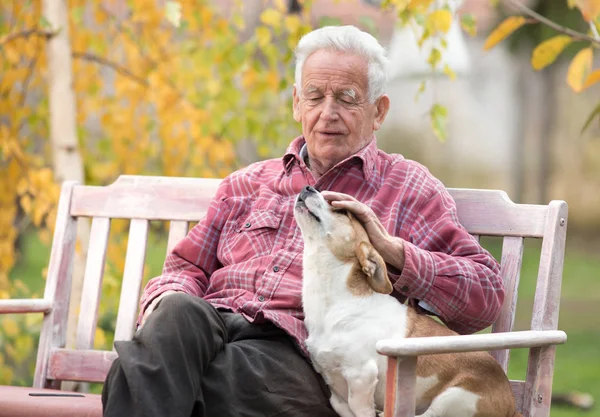 Oude man met hond op bankje in park — Stockfoto