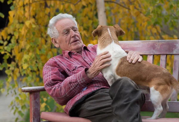 Gubbe med hund på bänken i parken — Stockfoto