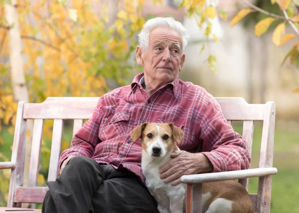 Homem velho com cão no banco no parque — Fotografia de Stock