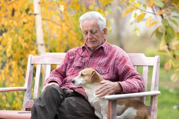 Old man with dog on bench in park — Stock Photo, Image