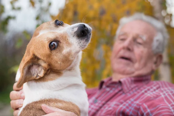 Starý muž se psem v parku — Stock fotografie