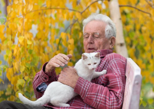 Старик обнимает кошку в парке — стоковое фото